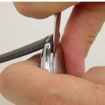 Replace a Watch Movement