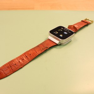 sony_broken_watchband